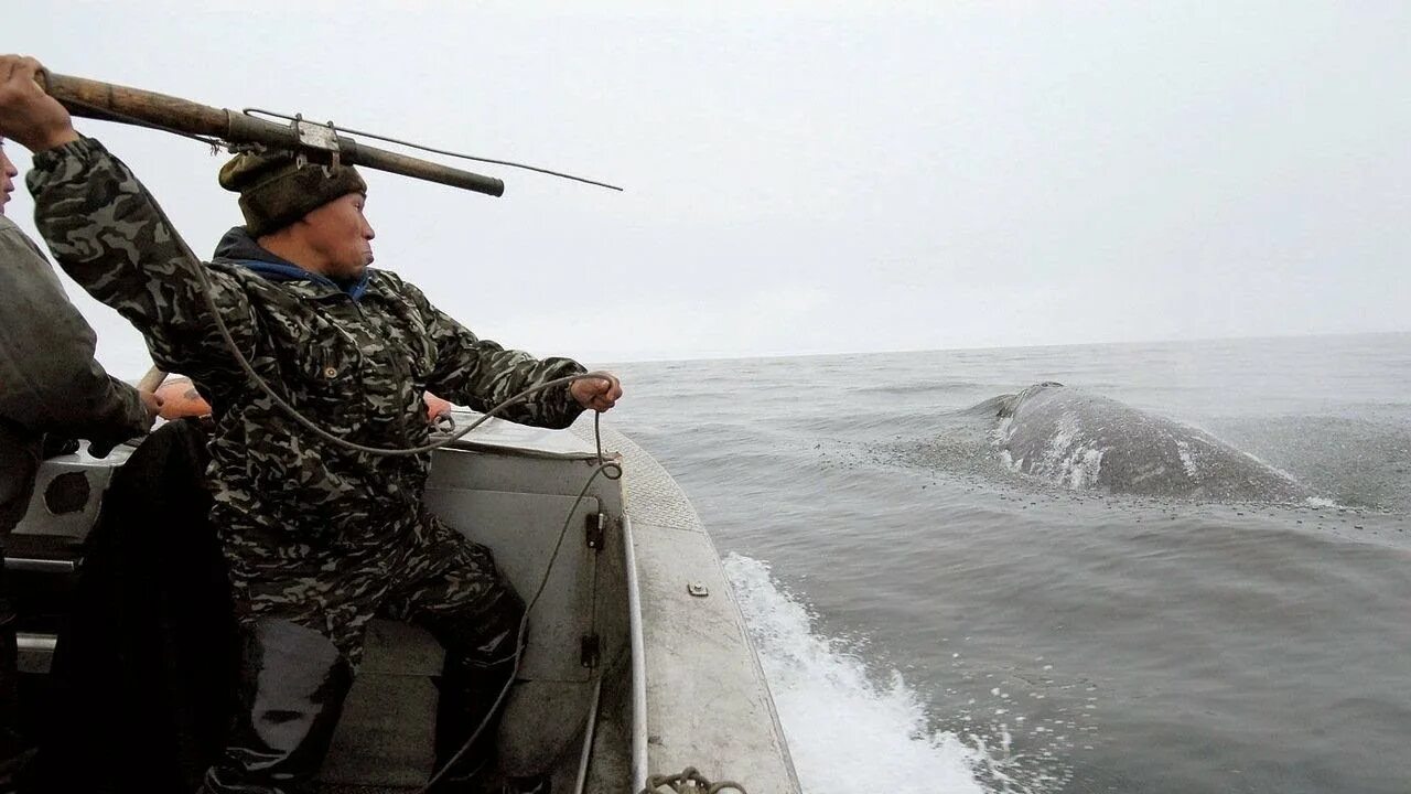Sea hunting. Морские надводные беспилотники. Охота на морских чудовищ игра. Sea hunting. Sea hunting.