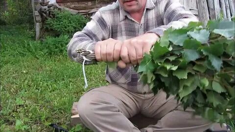 Когда можно вязать веники