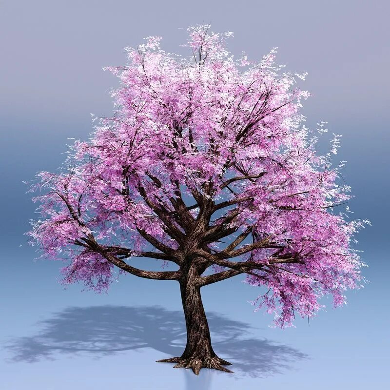 Kate tree