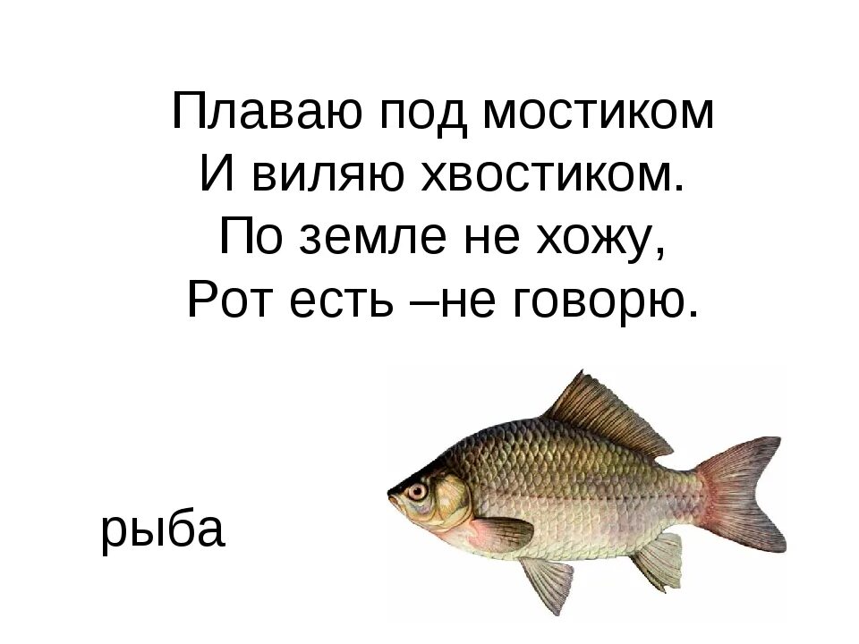 Что такое нем как рыба