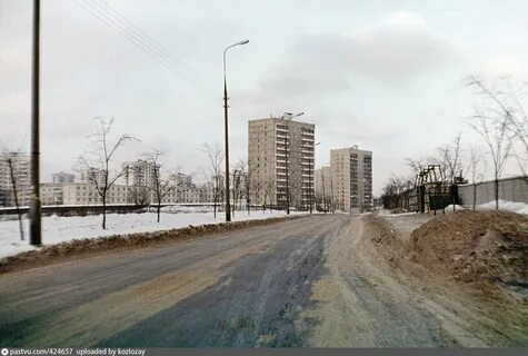 Зеленоградская улица