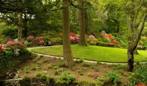 Uk parks