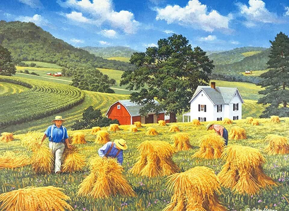 Working in the country