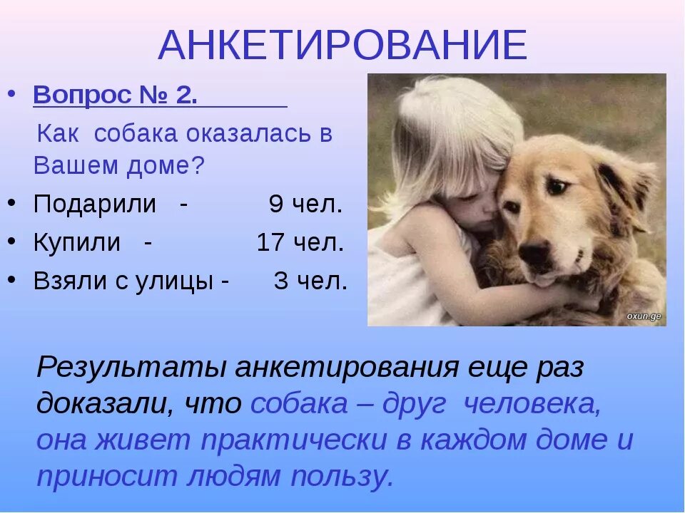 Собака друг человека объяснить. Проект собака друг человека. проект на тему собака друг человека. собака лучший друг человека презентация. доклад собака друг человека.