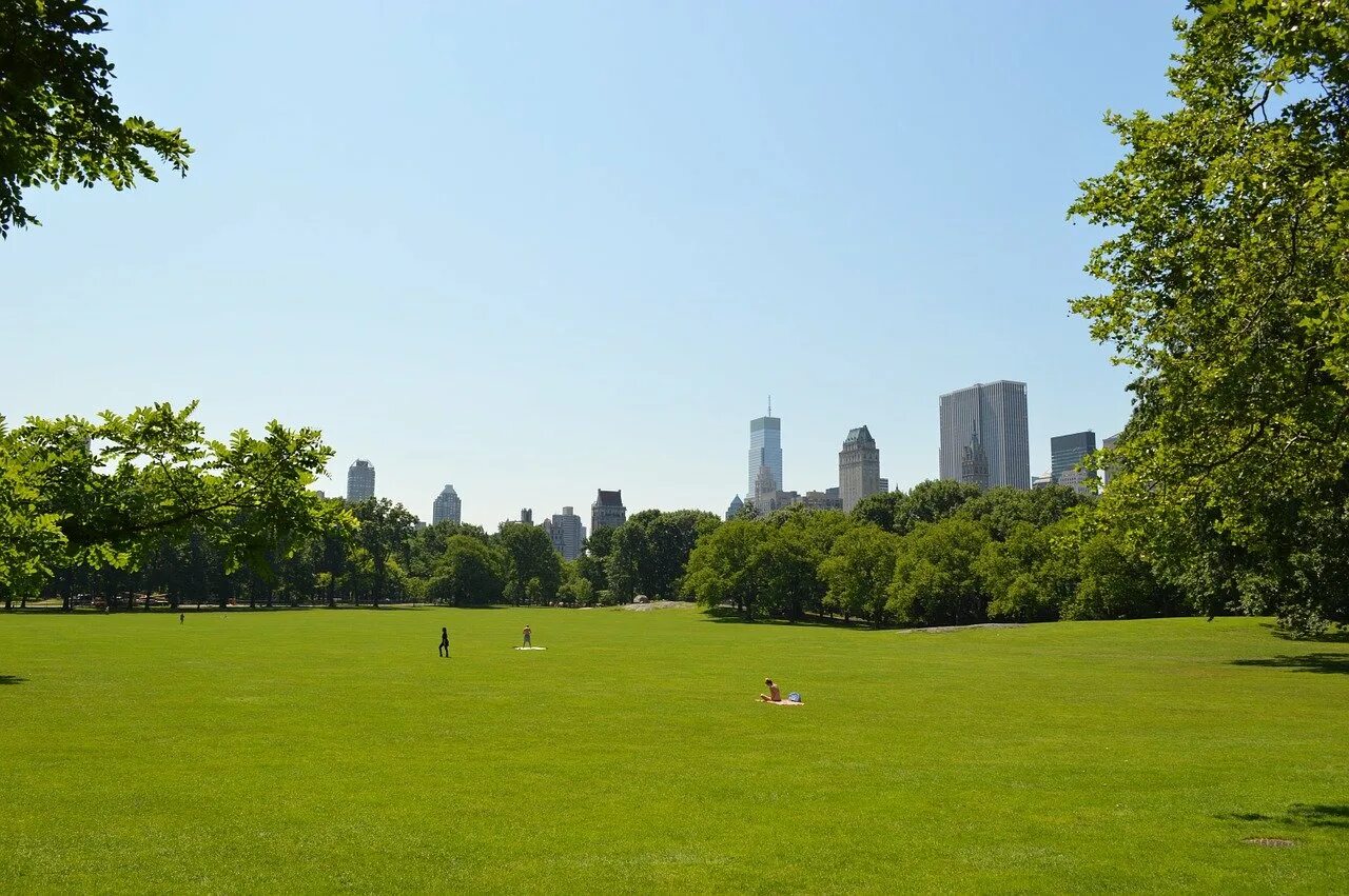 Background park