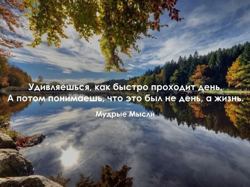 Дней прошло с даты. Человек бежит по жизни. Жизнь быстро проходит. Жизнь так быстро проходит. Удивляешься как быстро проходит день.