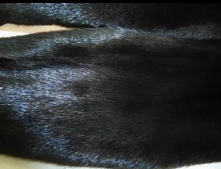 Канадский мех норки. Норковая шуба подделка. Китайский мех норки. Натуральная норка и искусственный мех. Мех норки с коротким ворсом.