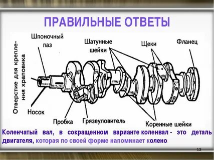 Коленчатый вал имеет шатунных шеек