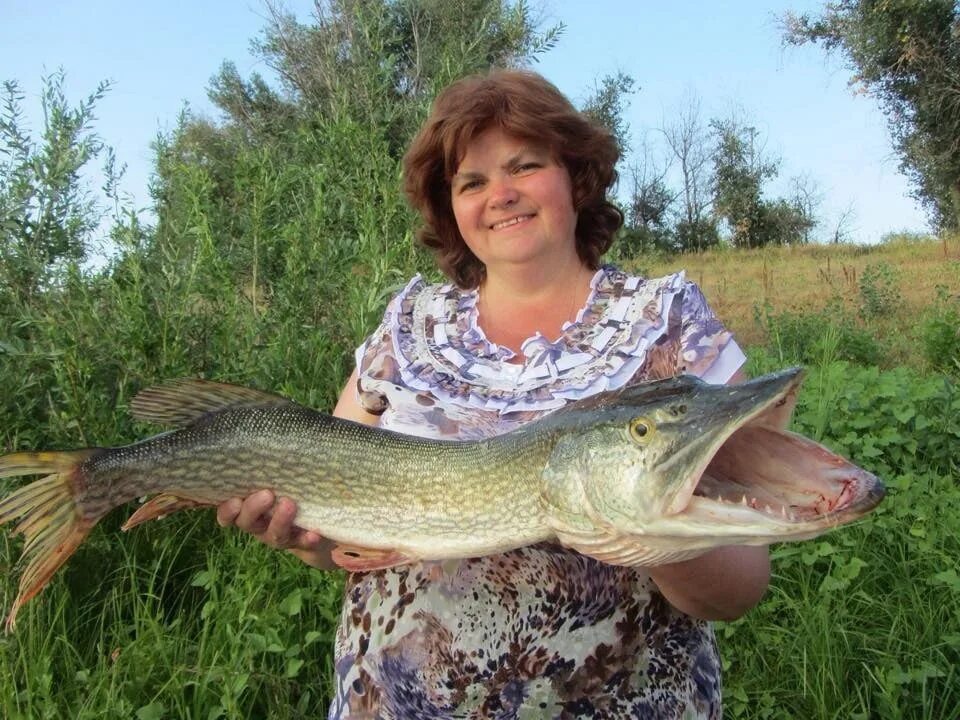 усадьбы красноармейский район саратовская область. погода золотое красноармейский. золотое красноармейский район саратовская область. погода золотое красноармейский. золотое село саратовская область красноармейский.