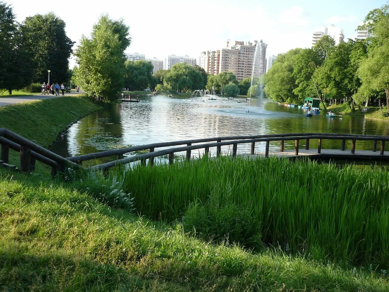 Где пруды. Парк в Москве. Воронцовские пруды Москва. Воронцовский пруд Измайлово. Московский парк с прудами.