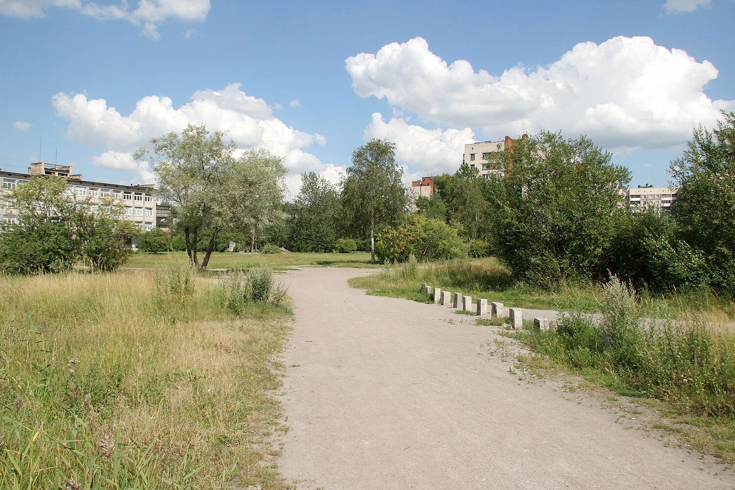 деревня купчино