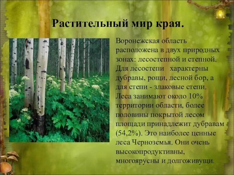 Сообщение о растении родного края 3 класс. Особенности природы воронежского края. разнообразие природы воронежского края. природа воронежского края презентация. природа воронежского края проект.