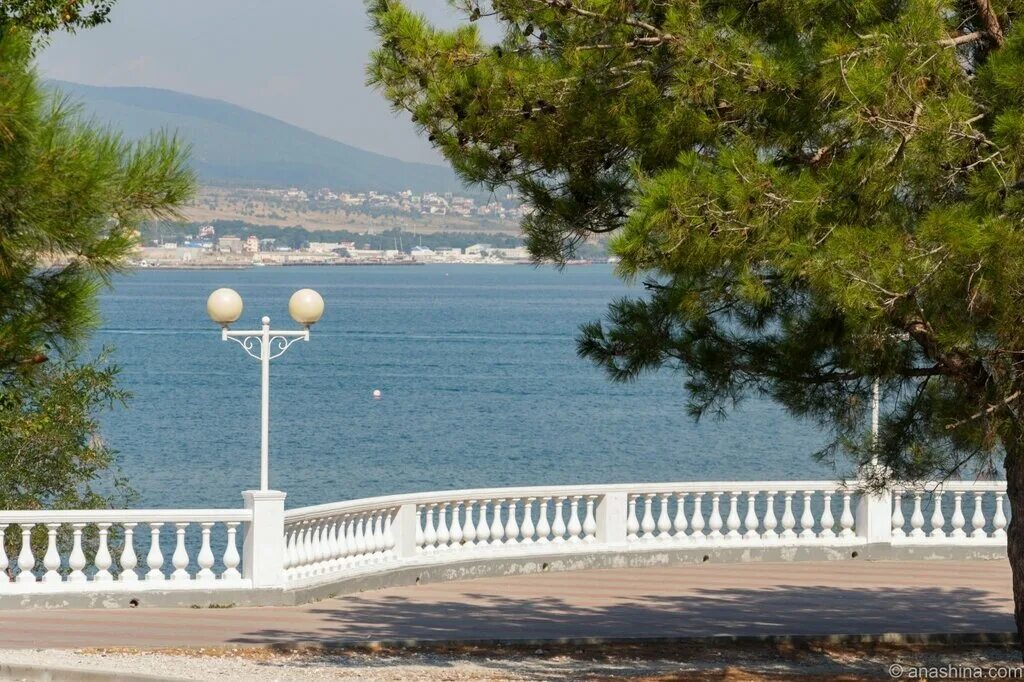 набережная геленджика революционная ул 5 фото. набережная геленджика революционная ул 5 фото. набережная геленджика протяженность в км. набережная геленджика революционная ул 5 фото. поселок кабардинка новороссийск.