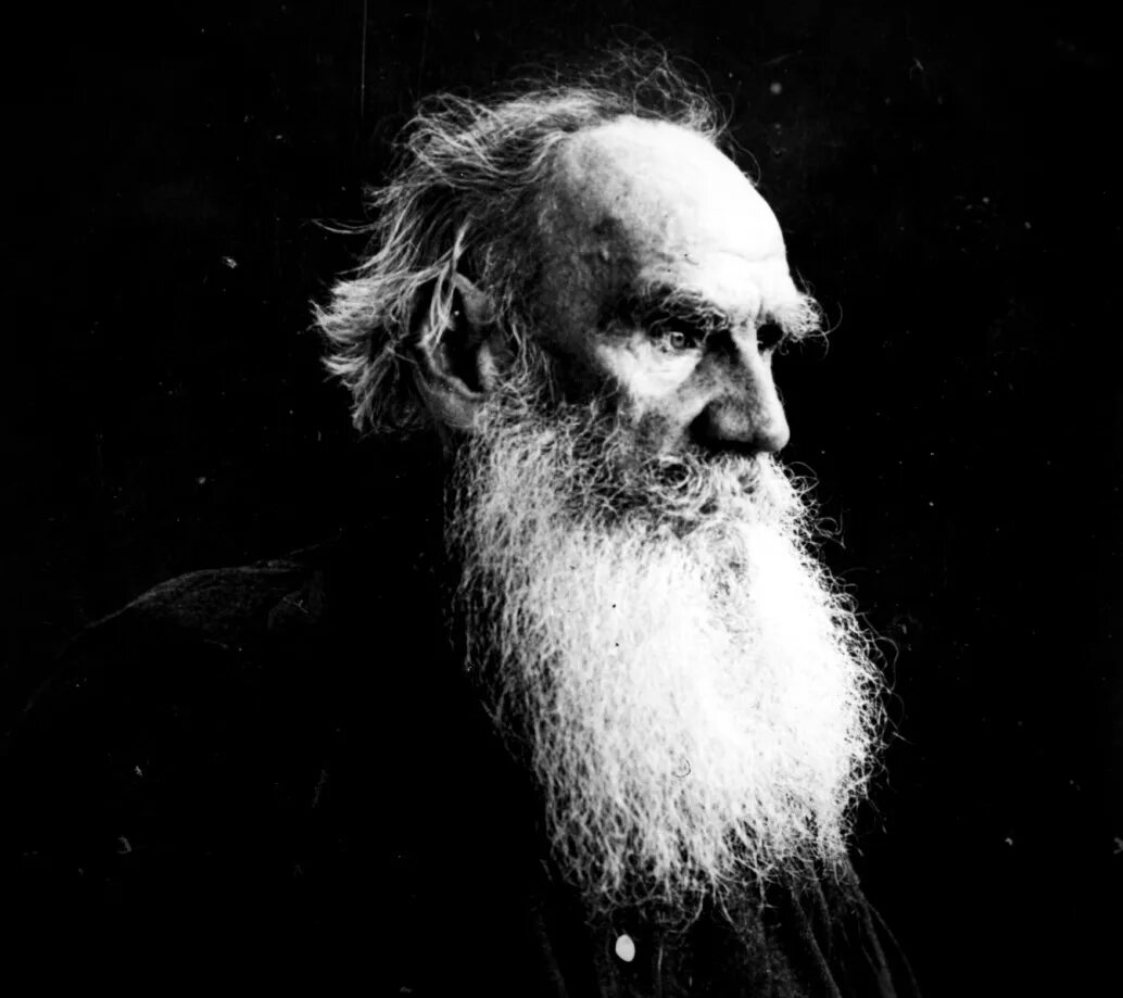 Толстой п c. Лев николаевич толстой. л. н. толстой (1828–1910. лев никалаевичтолстой. портрет толстого льва николаевича.
