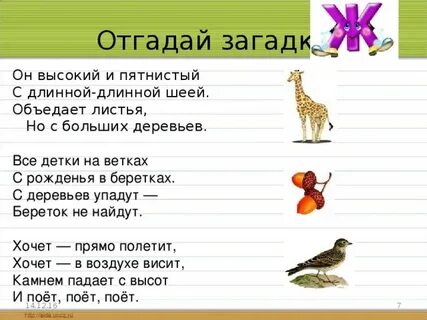 Стихи звуки в слове
