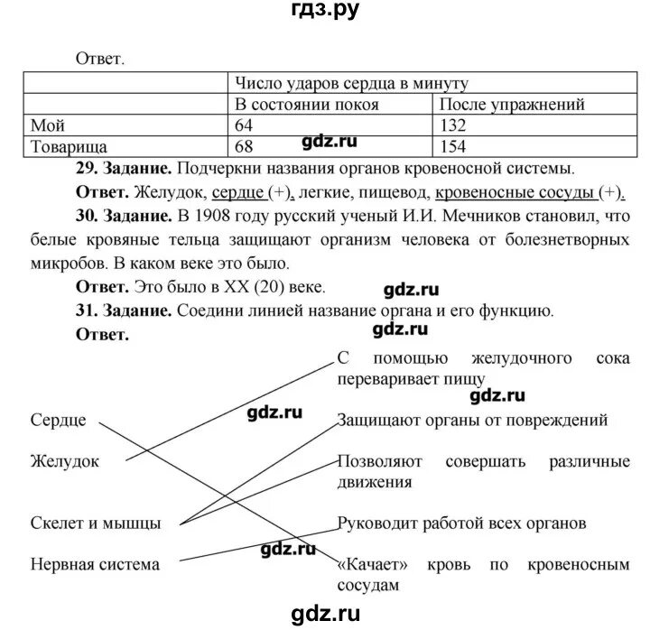 ГДЗ по Информатике 4 класс страница 67 рабочая тетрадь часть 1 Матвеева, Челак