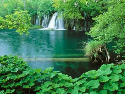 Natural well