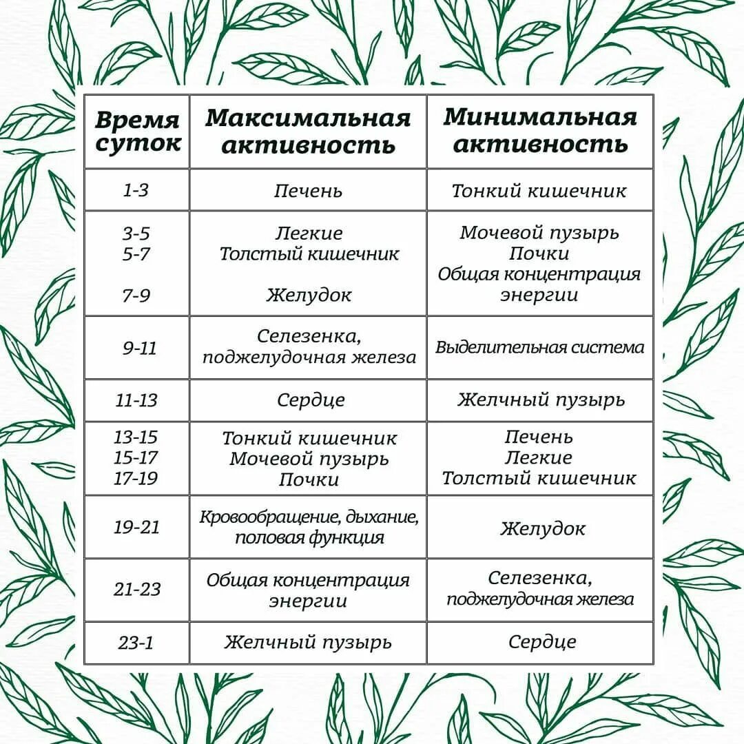 Биоритмы человека по часам суток таблица органы. Биологическая активность человека по часам. Биологические часы человека. Биологические ритмы органов человека по часам.