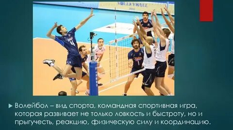 Волейбол это какой вид спорта