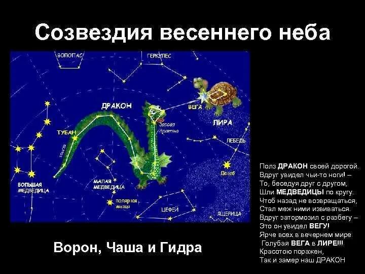 Созвездия на небе весной. Звездное небо весной атлас определитель. Атлас определитель созвездия весеннего неба. Рассказ о созвездии весеннего неба. Созвездиявнсеннего неба.