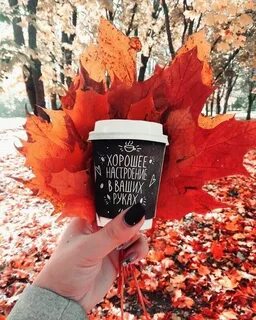 Первый день осени стильные