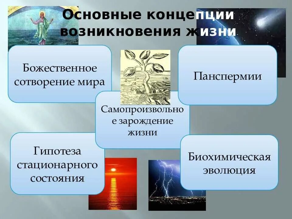 Развитие представление о происхождении жизни. Гипотезы возникновения жизни на земле. Основные гипотезы происхождения жизни. Теории возникновения жизни. Представления о возникновении жизни на земле.