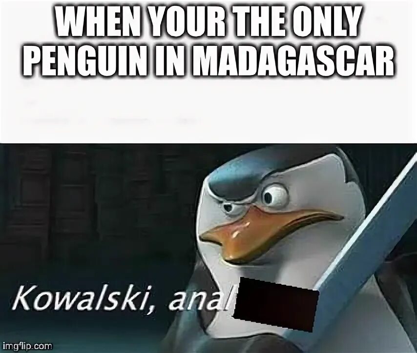 Какой овощ не любил ковальский из мадагаскара. Ковальски Анализируй. Ковальски Пингвин. Ковальский анализ Мем. Ковальский Пингвин.