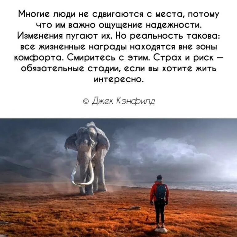 На жизнь следует понимать. Такова реальность жизни. Интересная жизнь. Многие люди не сдвигаются с места. Реальность жизни цитаты.