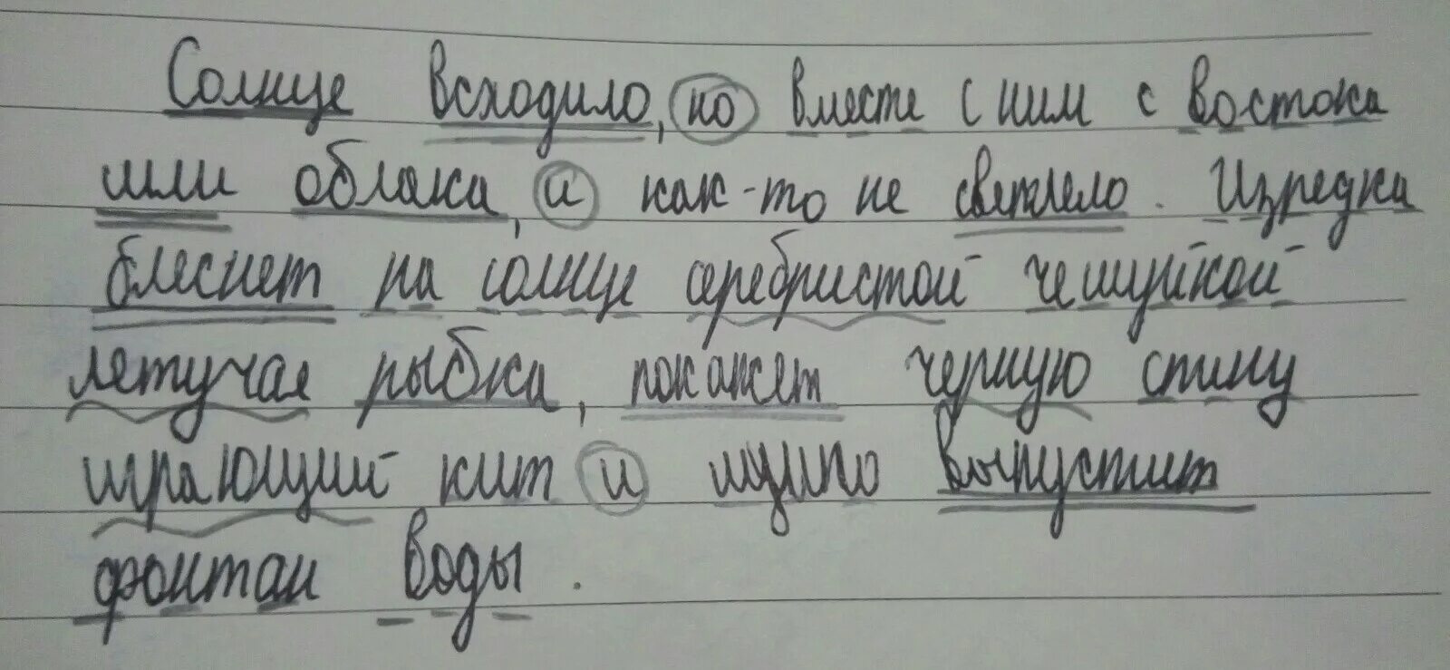 Прочитайте определите солнцем