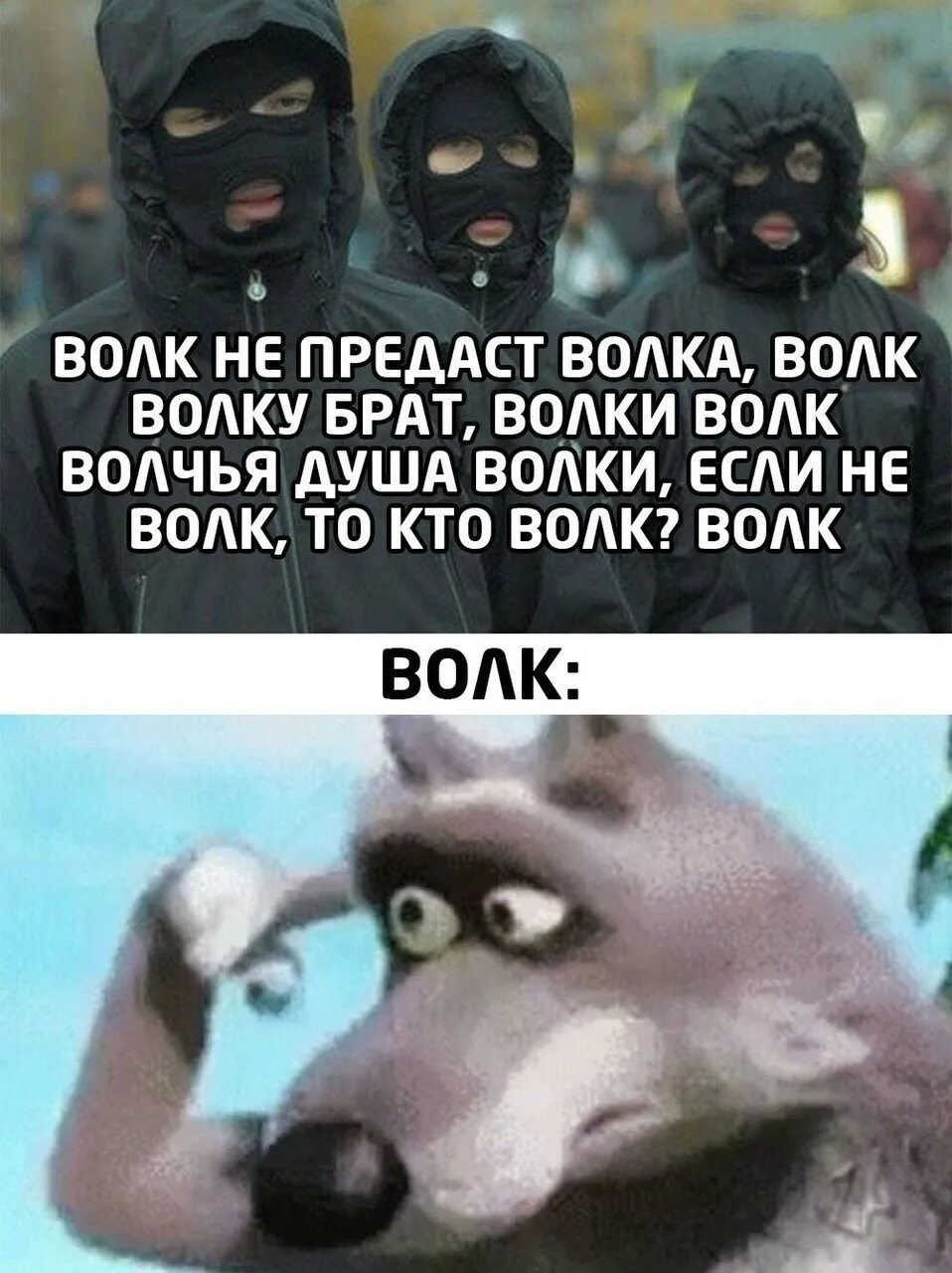 Цитаты волка. Цитаты волка смешные. Цитаты про Волков смешные. Мемы с волками и Цитатами.