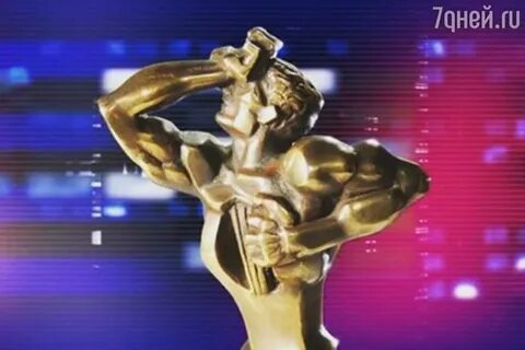 Премия телевизионщиков