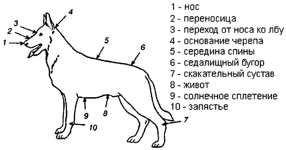 Где битую. Где битую
