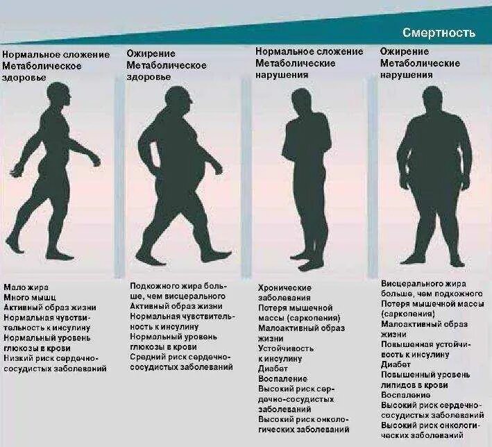 Весы продолжительность жизни. Заболевания связанные с ожирением. Заболевания связанные с избыточным весом.