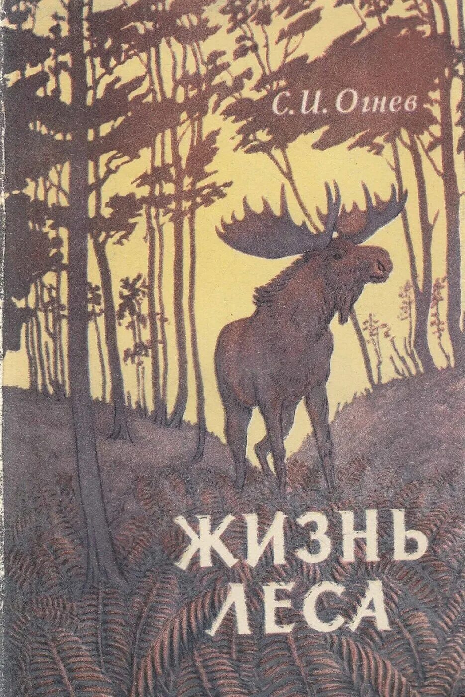 Книга в лесу. Книга жизнь леса. Советские книги о природе и животных. Советская книга лес.