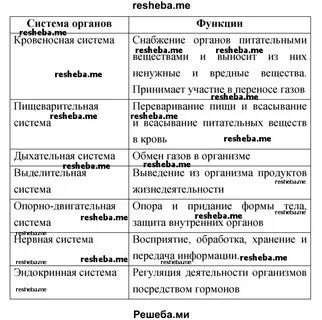 Таблица строение и функции систем органов