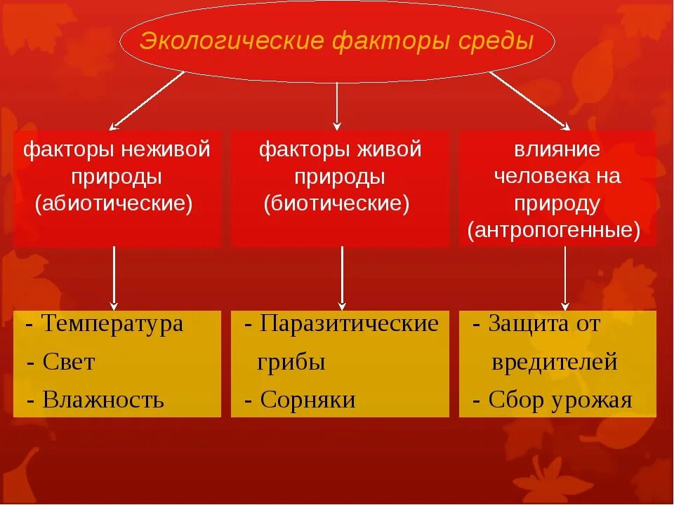 Экологические факторы среды 5 класс биология. Экологические факторвсреды. Этологические факторы. Экологический вектор. Экологические факторы 5 класс биология тест