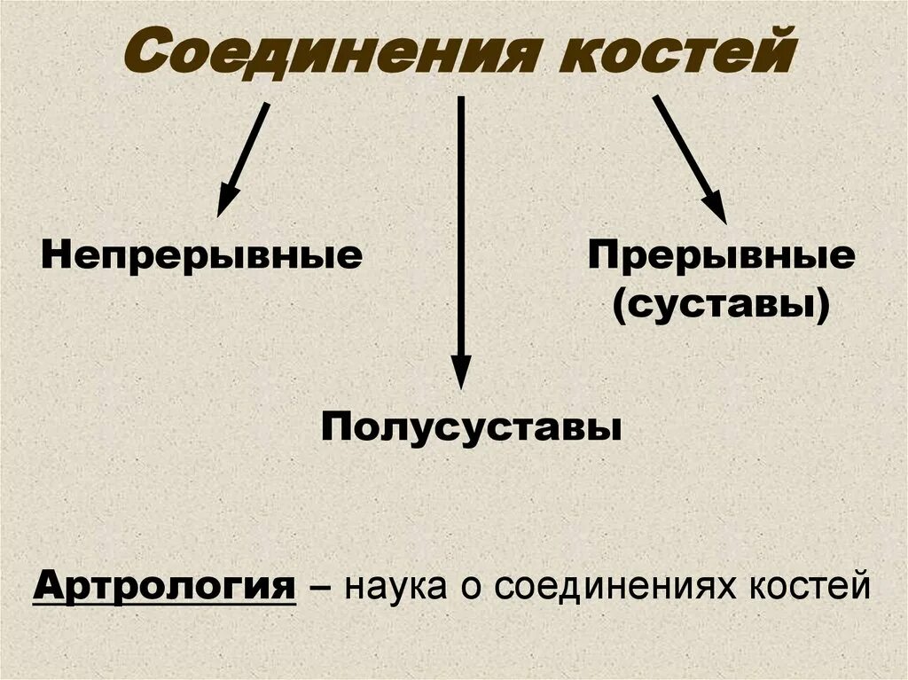 Прерывные соединения костей. Типы соединения костей непрерывные прерывные. Соединения костей непрерывные прерывные суставы. Прерывные соединения костей кратко.