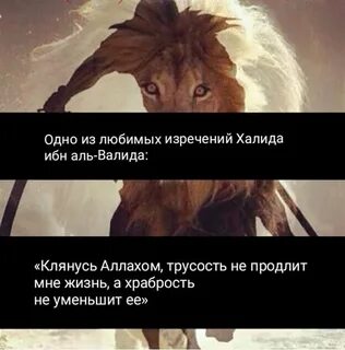 Трусость не продлит мне жизнь