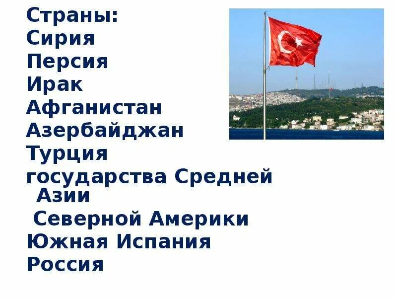 Какой формы турции