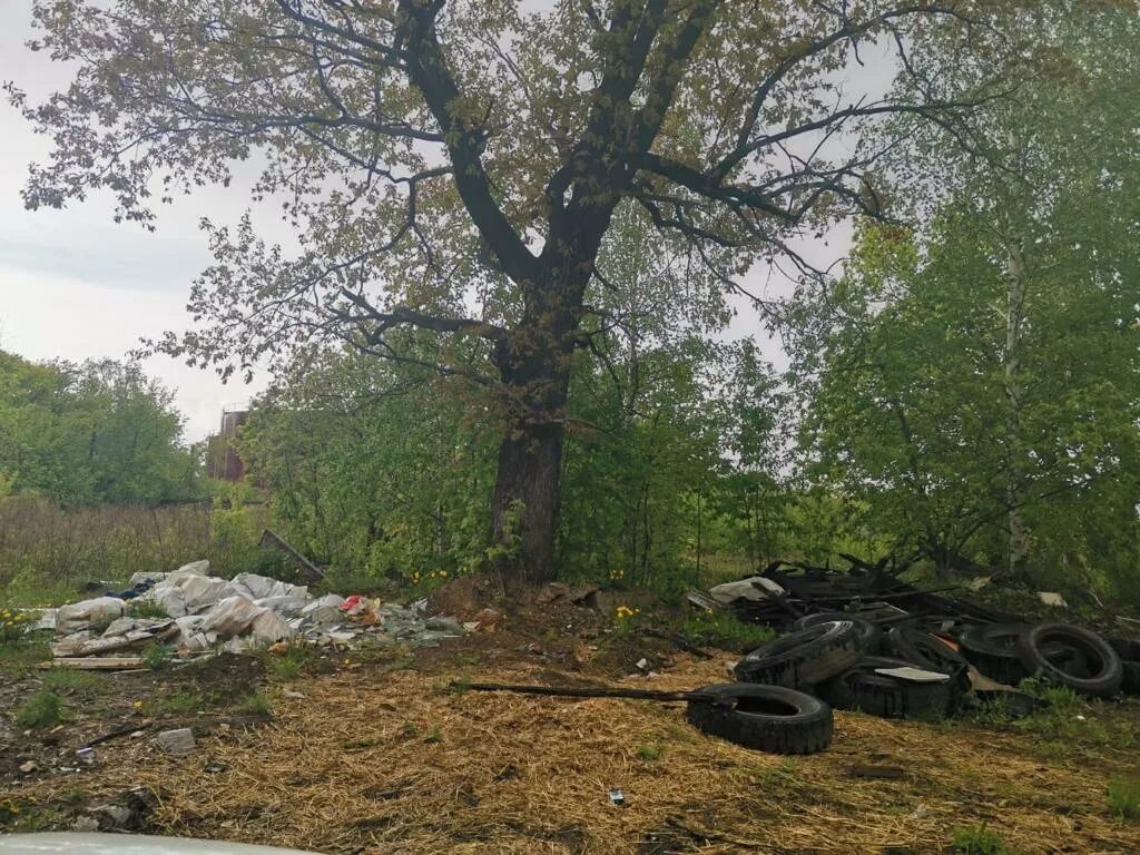 Экология региона нижегородской. Экология Нижегородской области. Минэкологии Нижегородской области. Экология региона Нижегородской области Левин. Министерство экологии Нижегородской области фото.