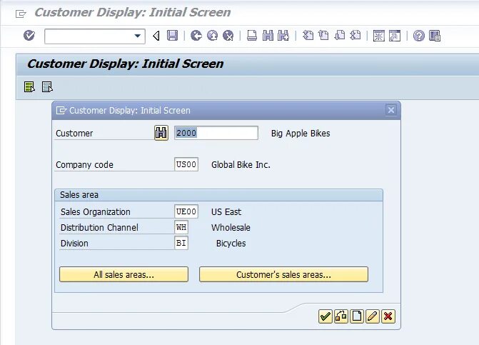 Initialize display. Sap display. sm30 транзакция sap. транзакция экрана sap. sap customers.