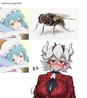 Mge memes