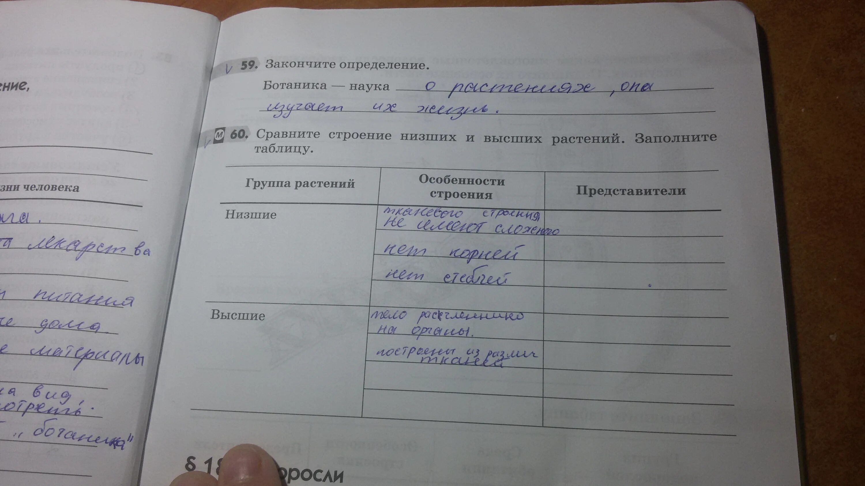 Биология 6 класс рабочая тетрадь 18 параграф. Сравните строение низших и высших растений. Сравни строение низших и высших растений. Сравните строение низших и высших растений заполните таблицу. Строение низших растений и высших заполните.