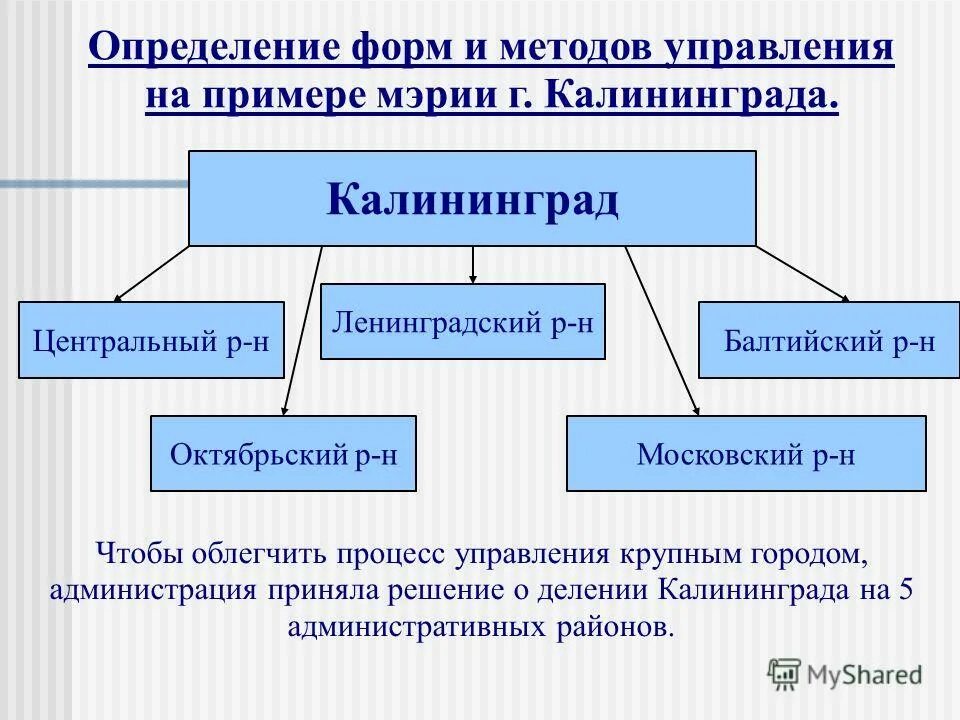 Формы управленческой деятельности. Определите формы управления. Определите формы управления. Организационные формы управления. Схема проведения подрядных торгов.