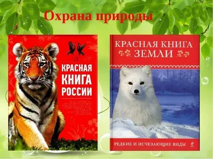Природные ресурсы охраняемые красной книгой
