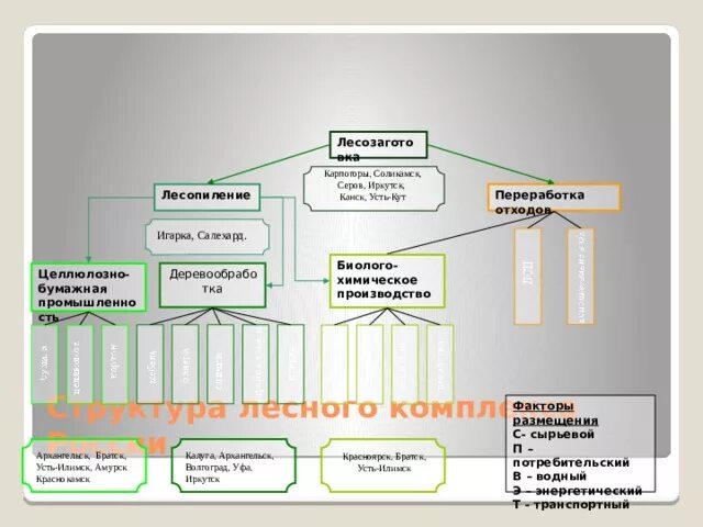 Структура лесного комплекса России в схеме. Отраслевой состав лесного комплекса России таблица. Отраслевой состав целлюлозно бумажной промышленности. Состав отрасли лесного комплекса. Целлюлозно бумажная факторы размещения