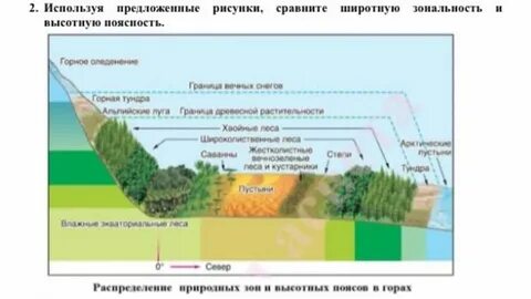 Закономерности ландшафта