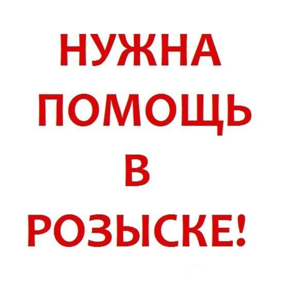 Вам нужна помощь. Помогите найти собаку. нужна помощь в поиске собаки. сос потерялась собака. срочный розыск собаки.