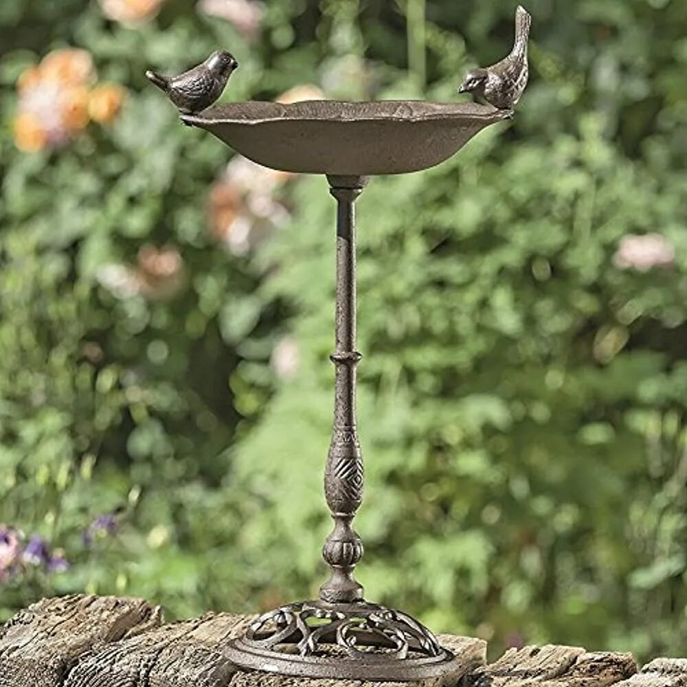 Поилка для птиц в саду. Поилка для птиц декоративная для сада. Купальня для птиц. Купальня для птиц. Поилка для птиц в саду.