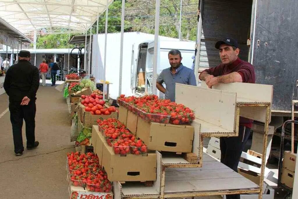 привоз разбор